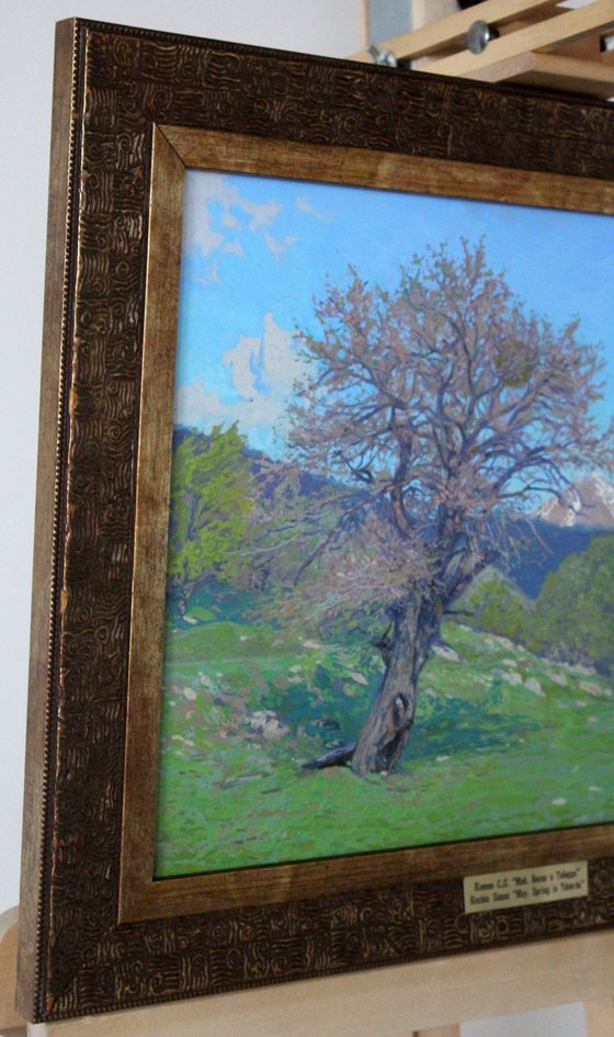 May. Spring in Teberda