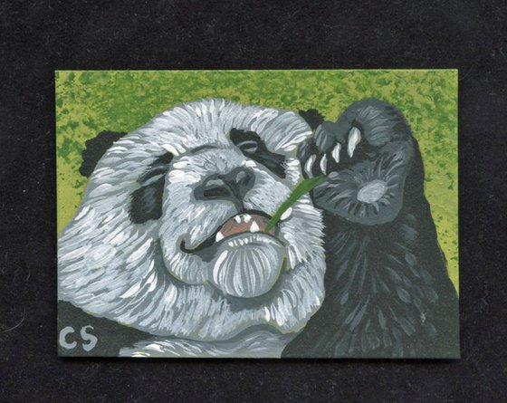 ACEO ATC Original Miniature Painting Panda Bear Wildlife Art-Carla Smale