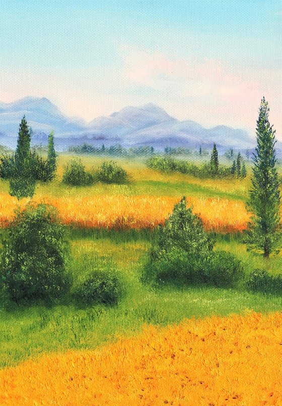 Sunflowers field in Tuscany