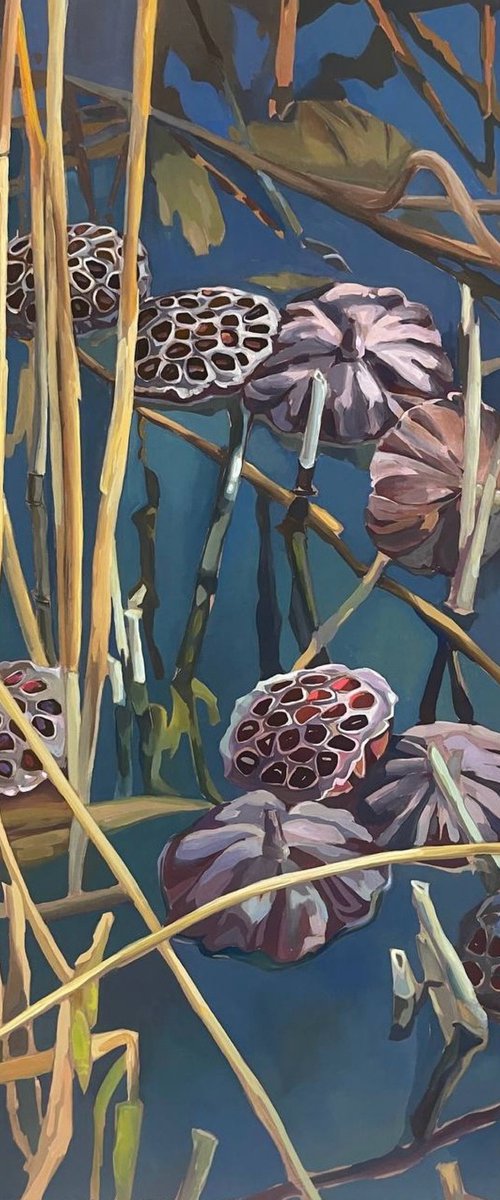 Lotus pond.Pods by Guzel Min