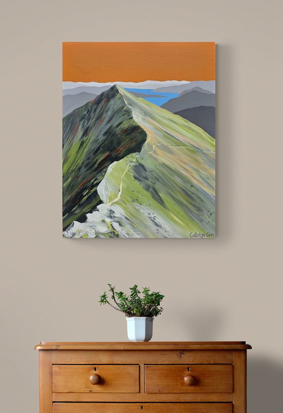 Catstye Cam
