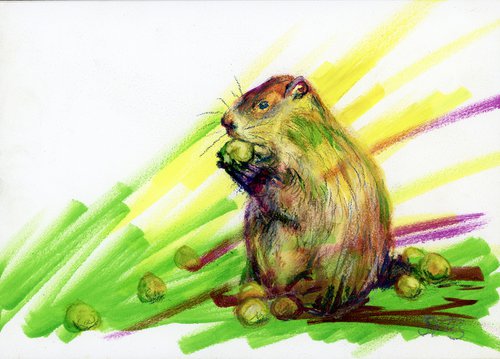 Apple Hoarder - Woodchuck by Stephanie Peters