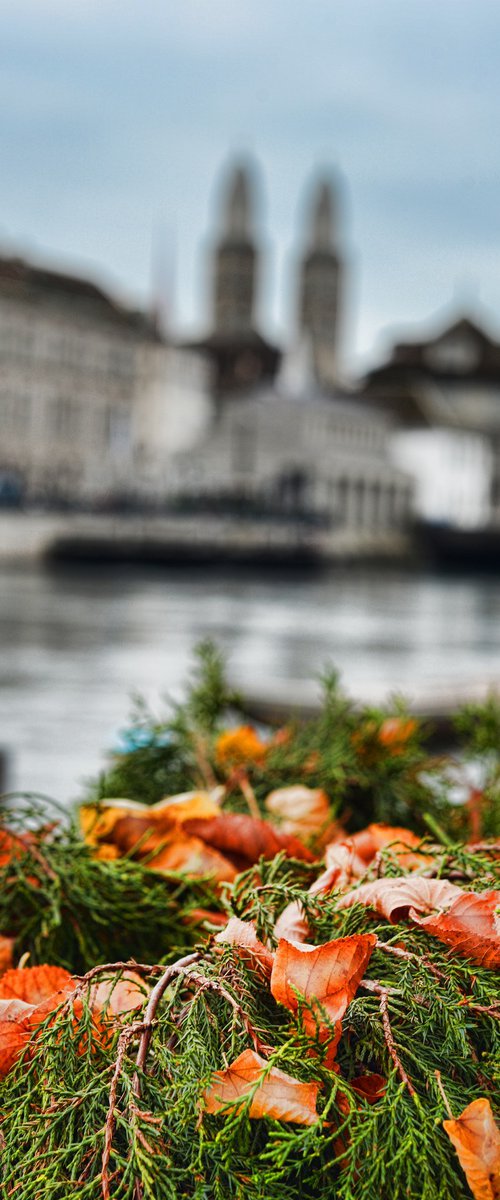 " Autumn in Zürich, Switzerland "   Limited Edition 1 / 15 by Dmitry Savchenko