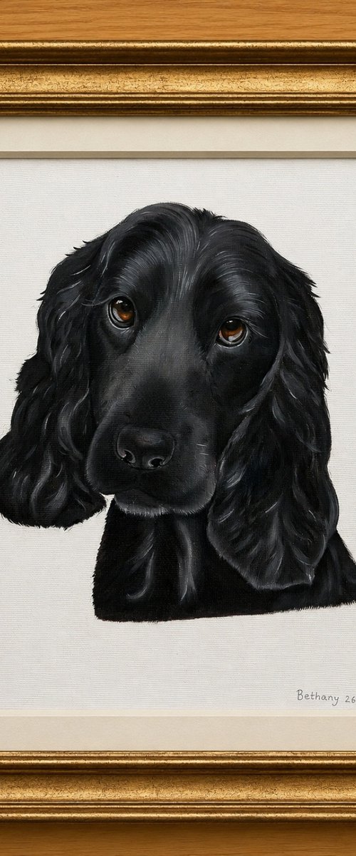 Soulful Eyes by Bethany Taylor