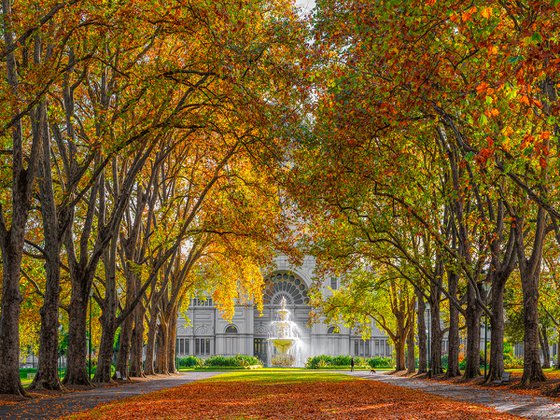 Melbourne Autumn