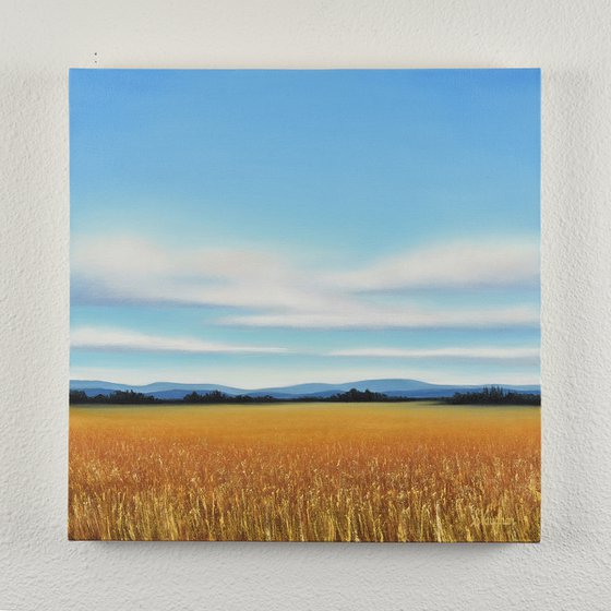 Golden Wheat - Blue Sky Landscape