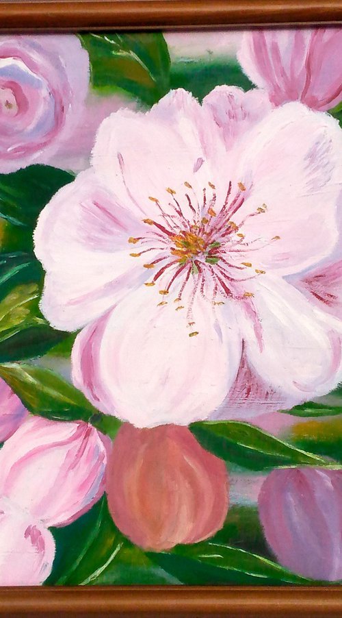 Apple Blossom by Halyna Kirichenko