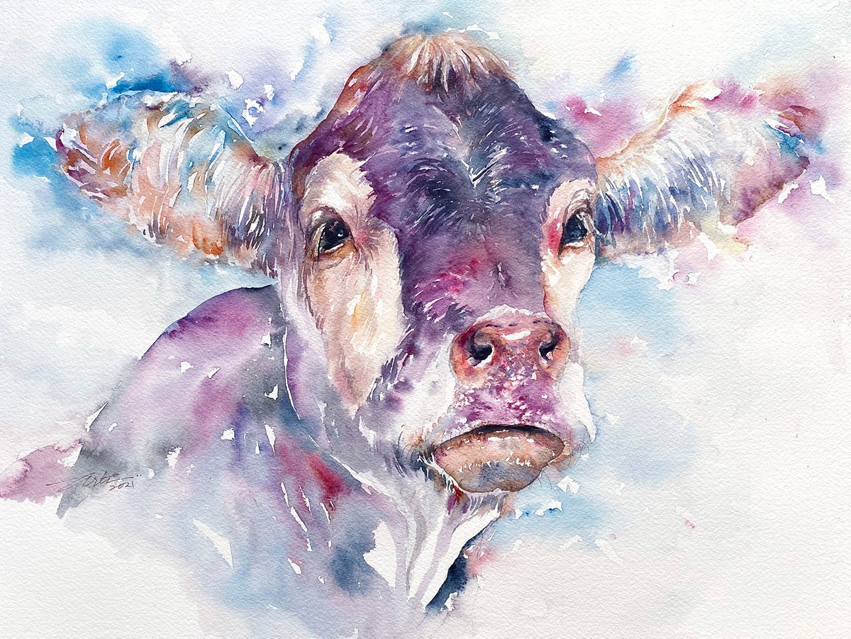 Violet vera_Cow by Arti Chauhan