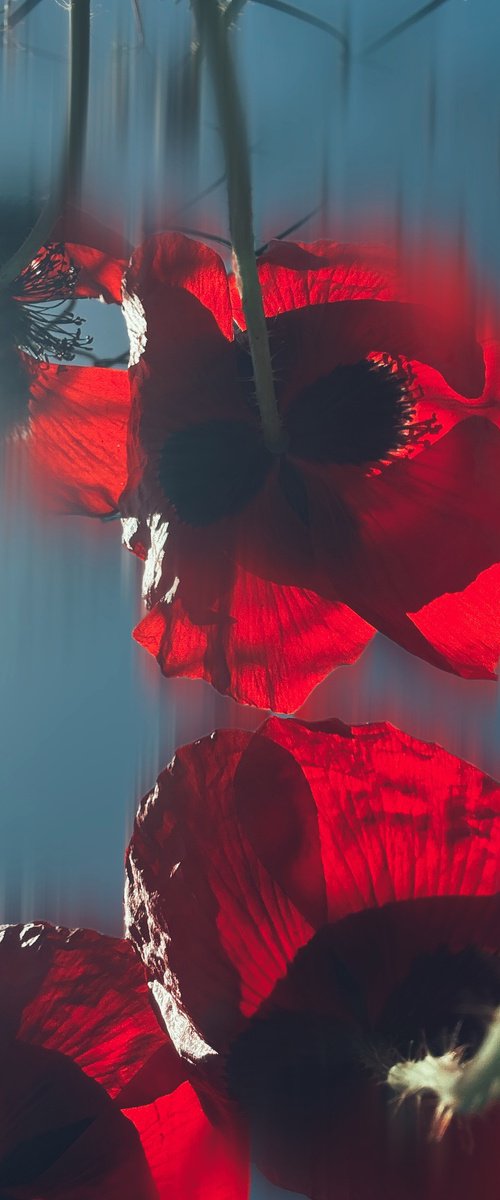 Spring prelude by Nektaria Thalia