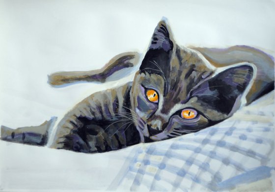 Cat # 1AP /  58 × 39 cm