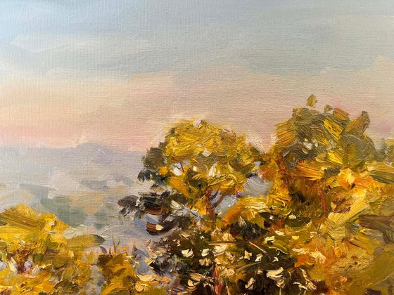 When Golden Light Touches the Treetops