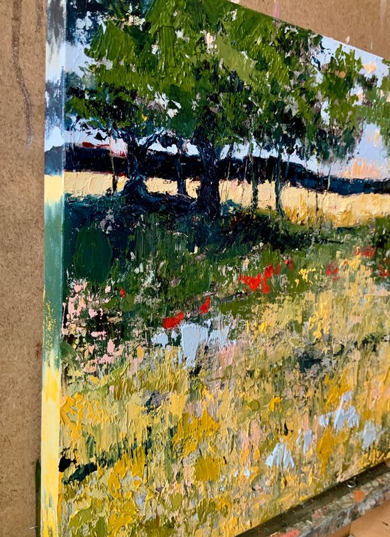 Summer Meadow in the Cotswolds