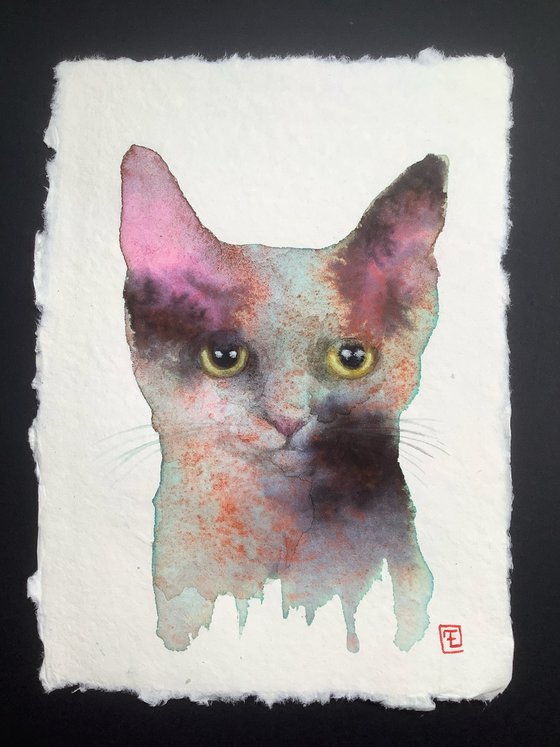 ABSTRACT CAT
