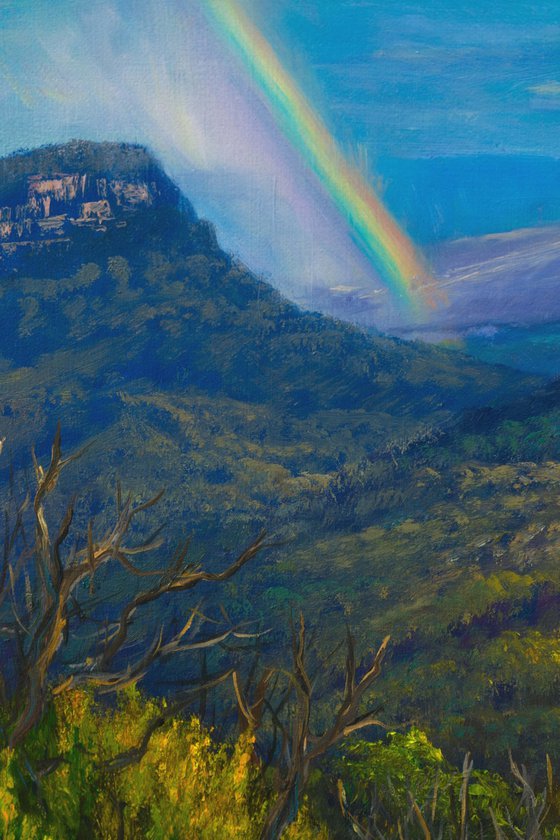 After the storm - Blue Mountains, NSW