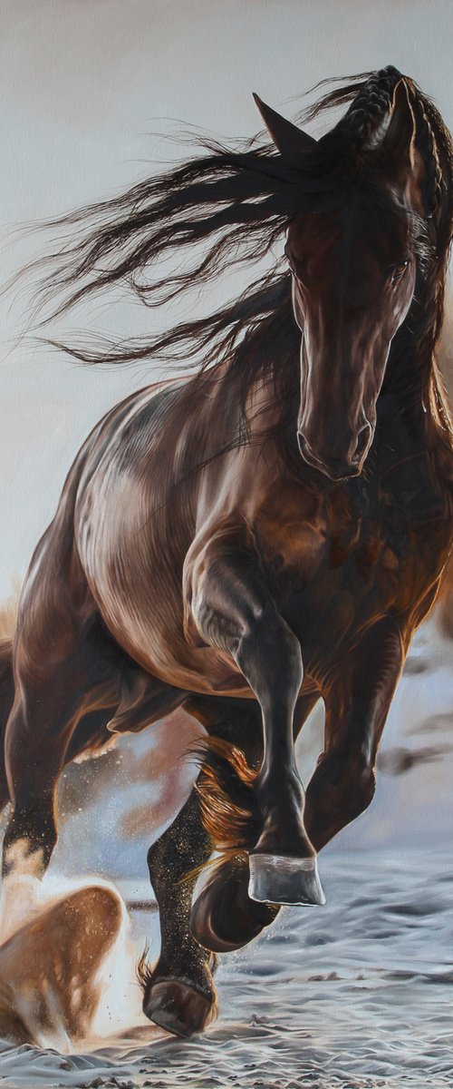 A sunbeam paints a black beautiful horse. by Marie Madej