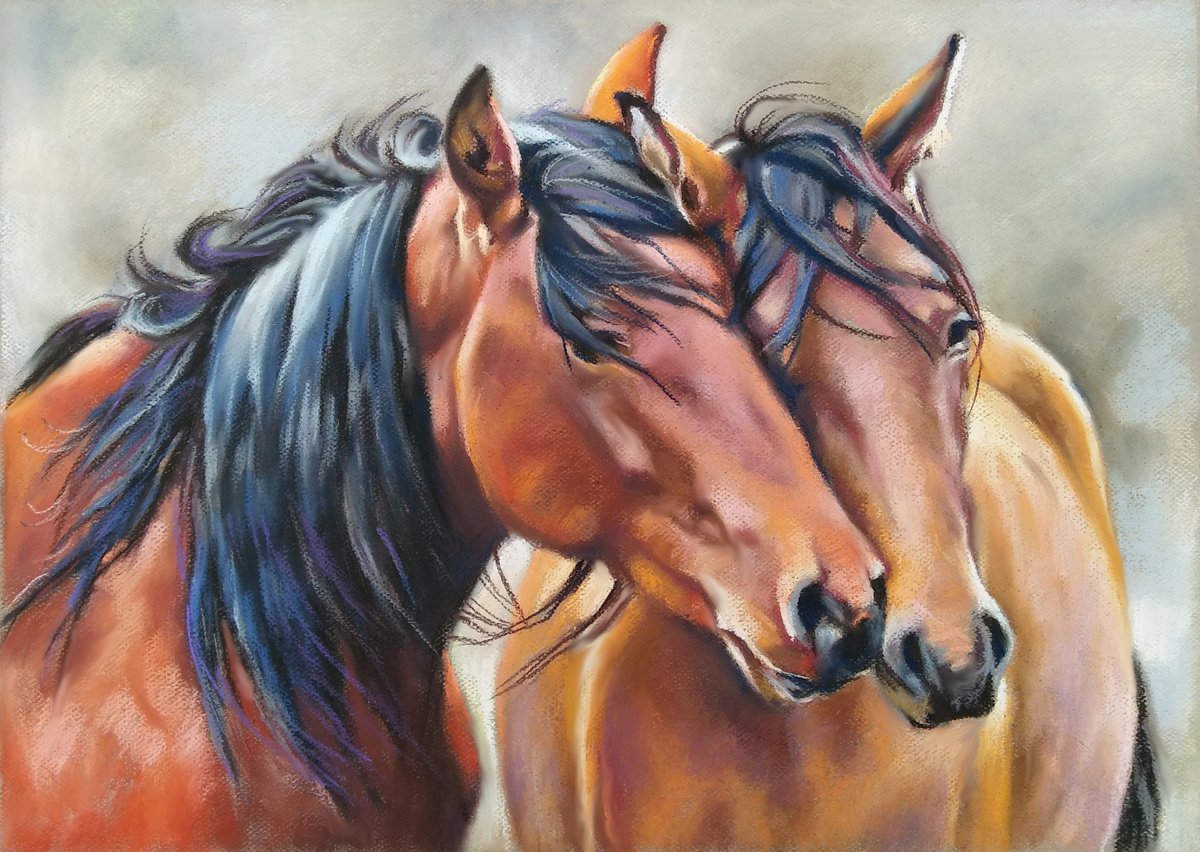 Portrait of wild horses by Magdalena Palega