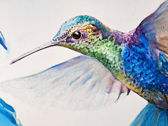 A FLIGHT OF HUMMINGBIRDS