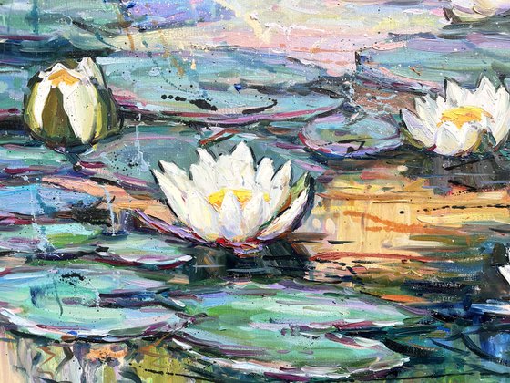 "Water lilies"