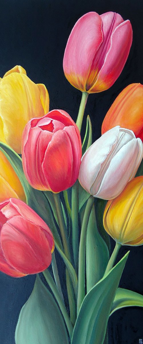 "Tulip Symphony" by Grigor Velev