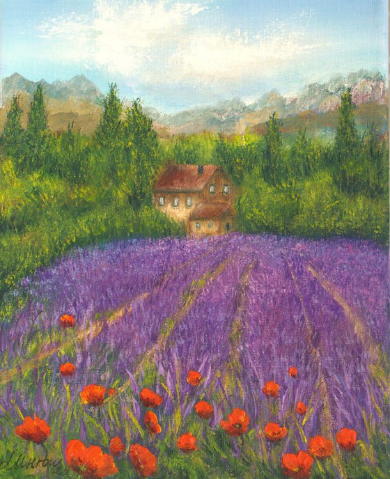 Lavender field