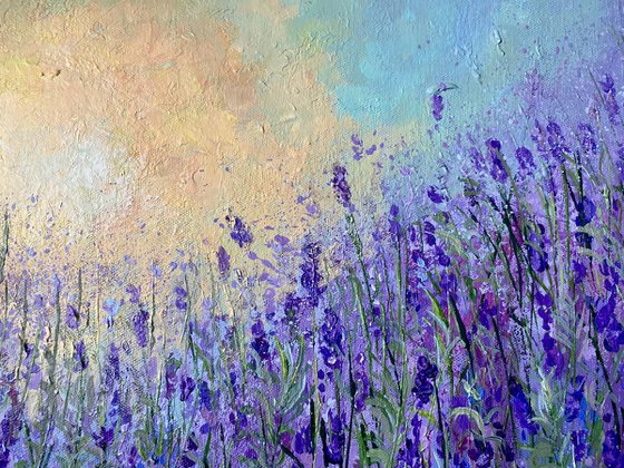 Lavender Morning