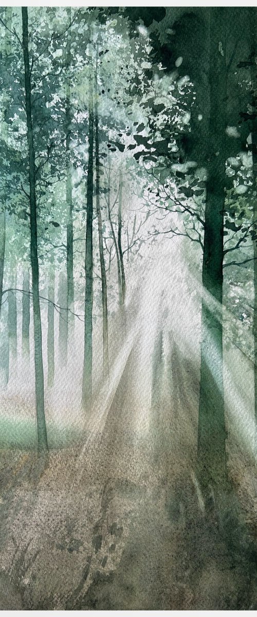 Morning forest by Nazar Grunyka