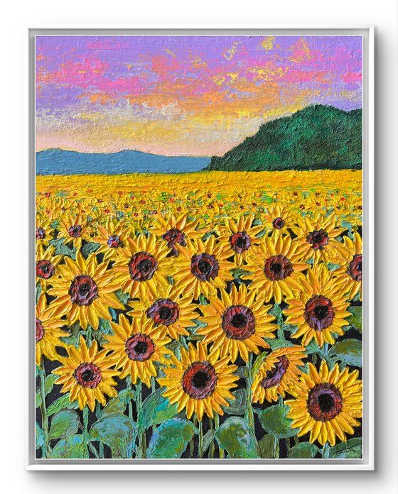 Sunflowers field at sunset