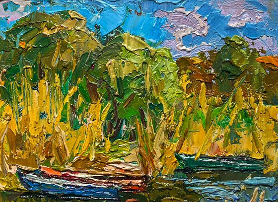 Boats on the shore