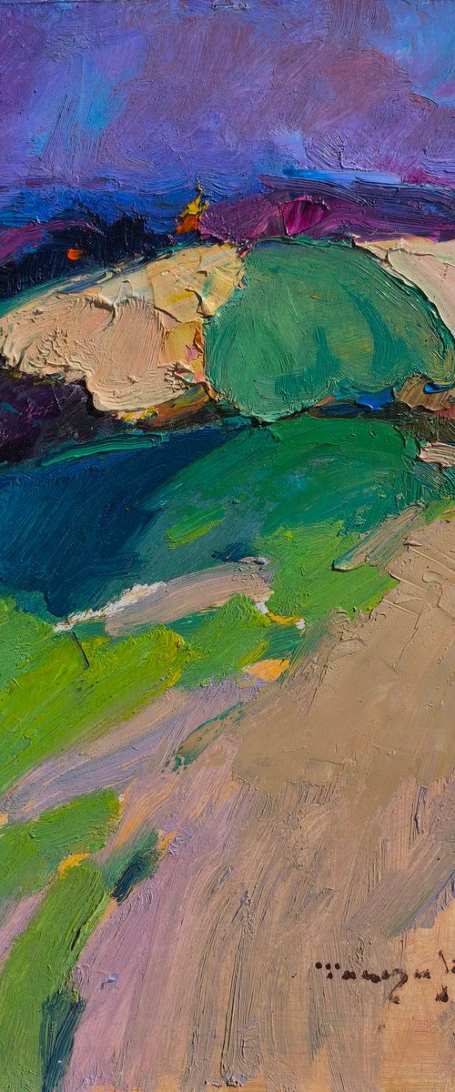 Fields by Alexander Shandor