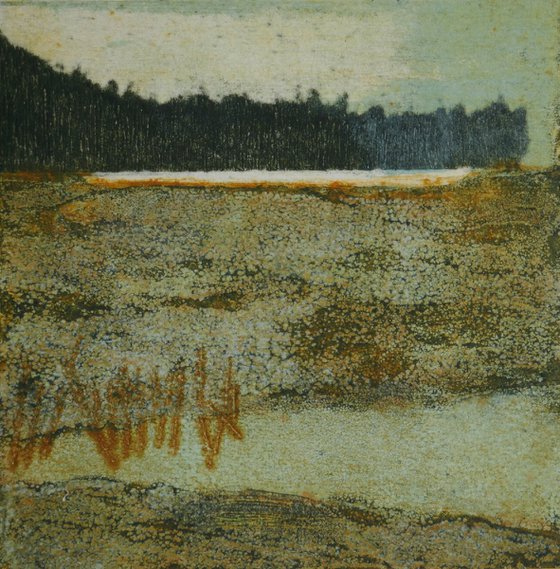 Salt Marsh