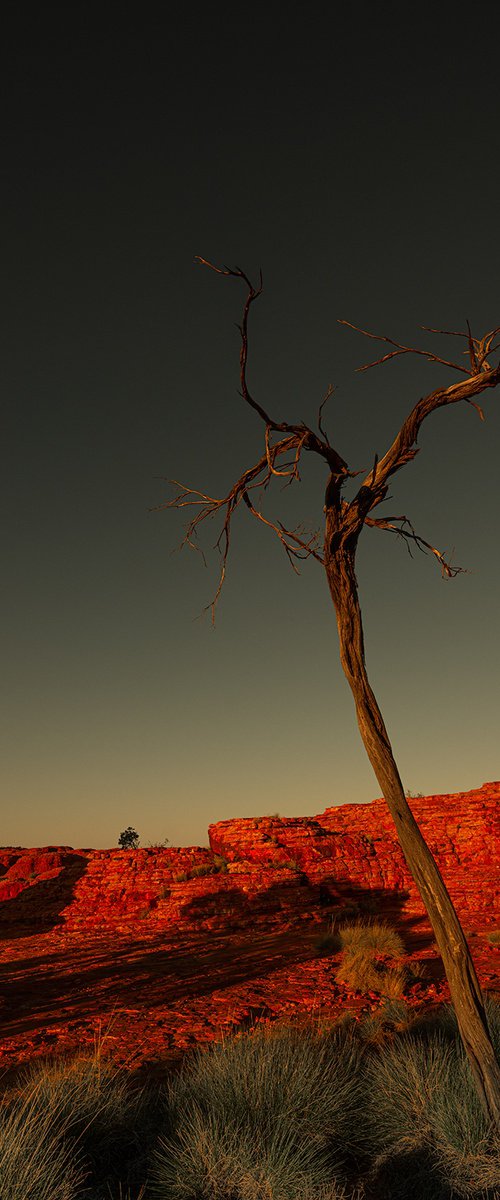 Watarrka Boollar Wunggurra by Nick Psomiadis