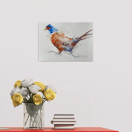 Run for it _ Pheasant