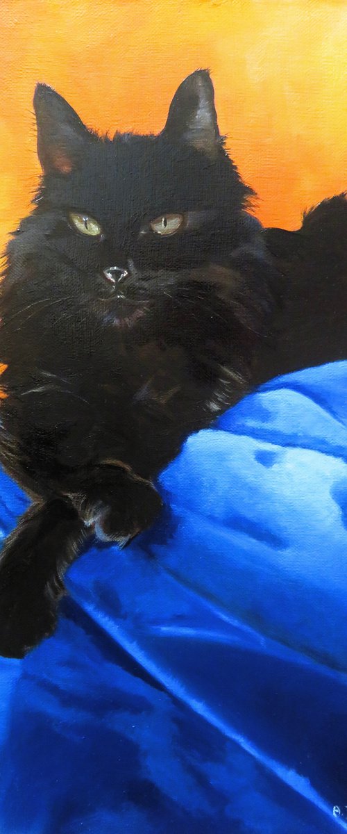 Titou, Portrait of a black cat by Anne Zamo