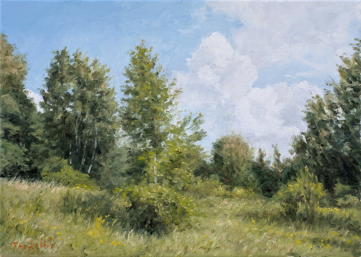 Impressionistic Landscape Oil Painting By Dejan Trajkovic, 20 X 16, Grass, Birches And Clouds, Original Artwork