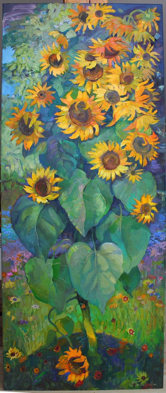 Summer with sunflower