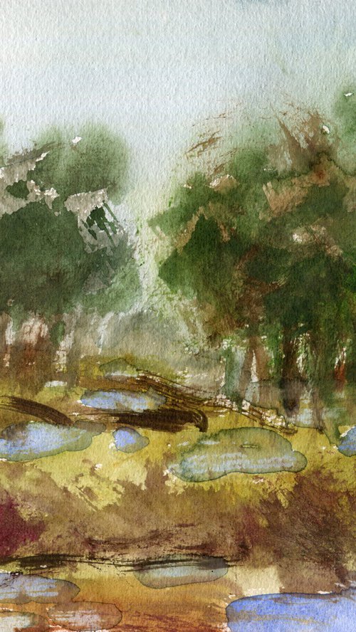 Heathland Pools by Elizabeth Anne Fox