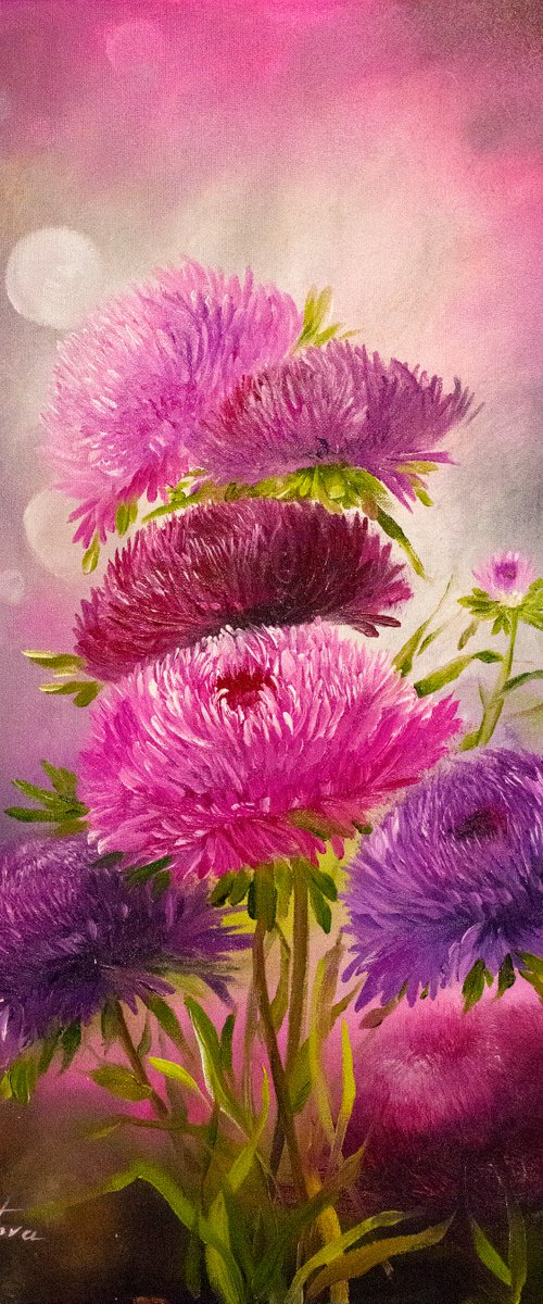 Purple and pink Flowers. aster flowers. by Tetiana Tiplova
