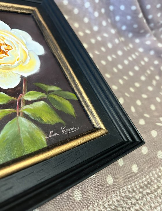 White rose
