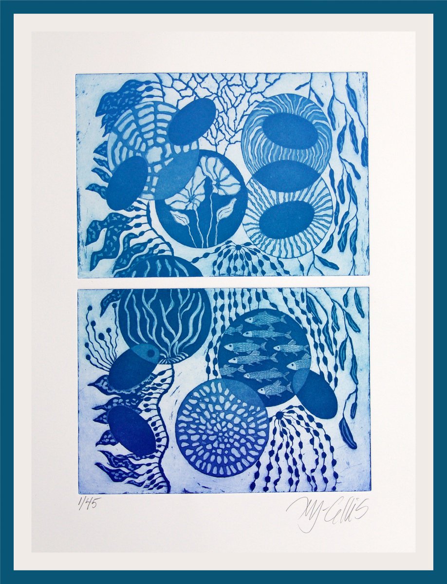 Organic Etchings & Engravings , Reef By Mariann Johansen-Ellis, 12 X 17, Artwork For Sale On Artfinder