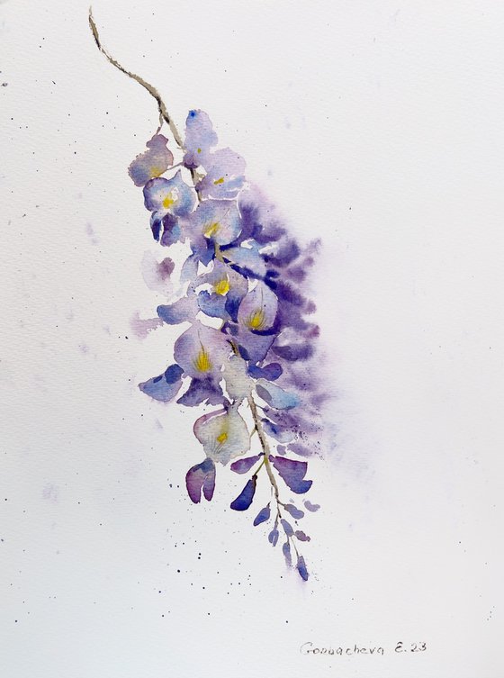 Wisteria #3