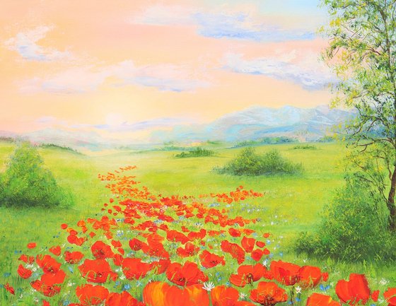 Poppy field by sunrise