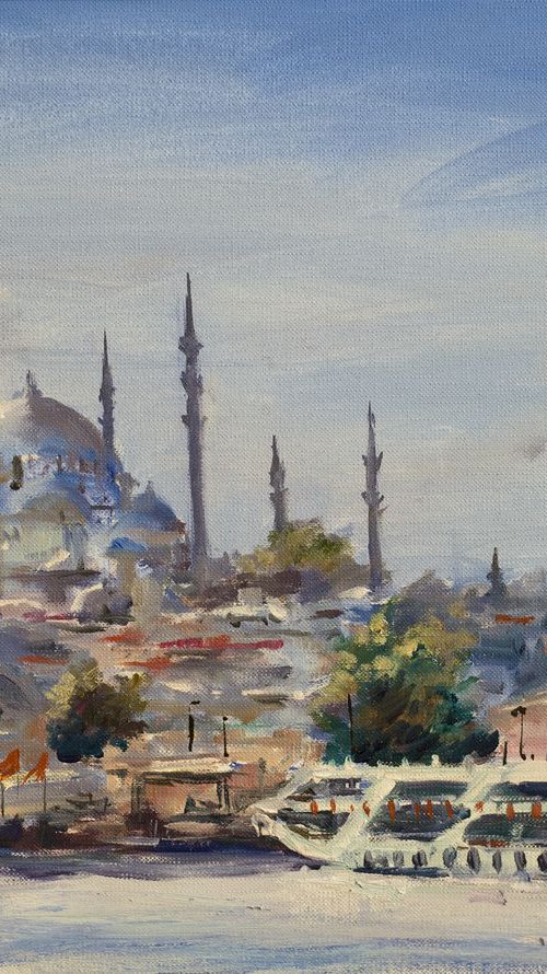 View of Suleimanie mosque by Sasha Romm