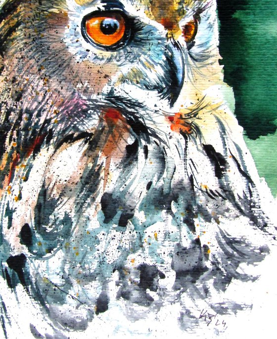 Great horned owl portrait