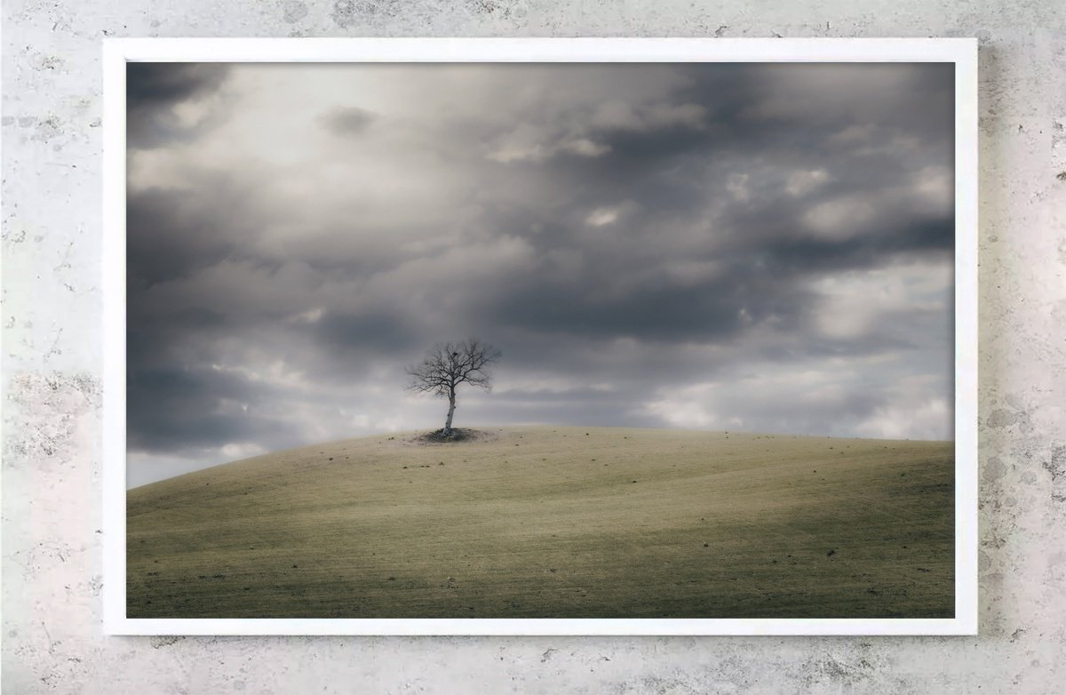 Impressionistic Photograph , A Lone Tree On A Hilltop (S.3) By Karim Carella, 45 X 31, Artwork For Sale On Artfinder
