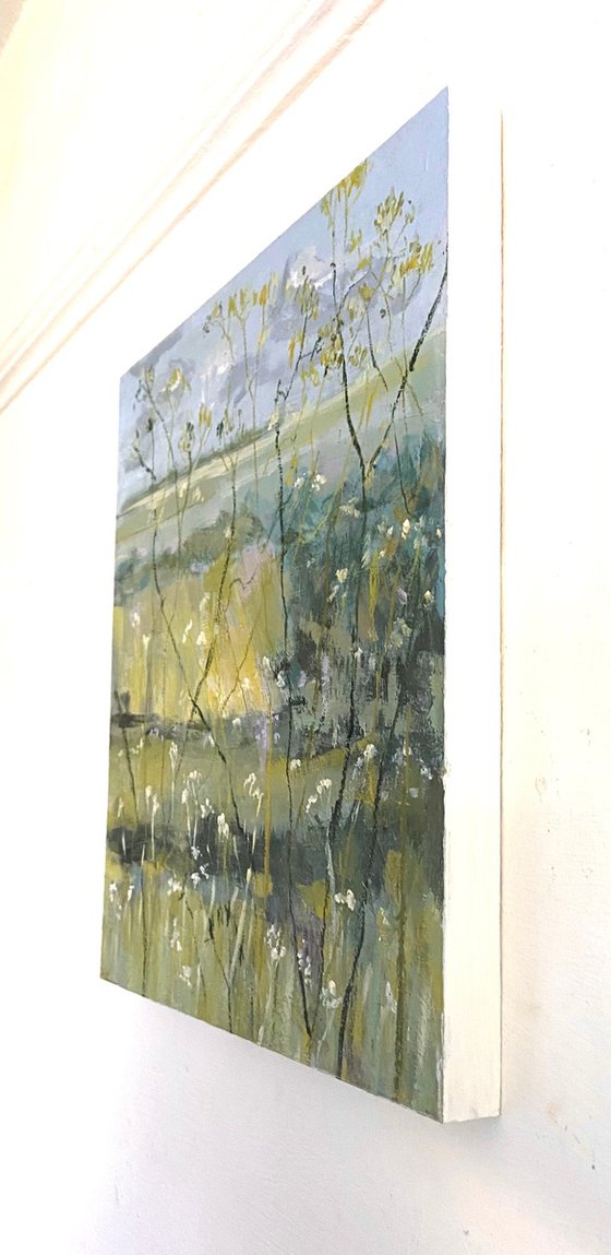 Last Of The Cow Parsley