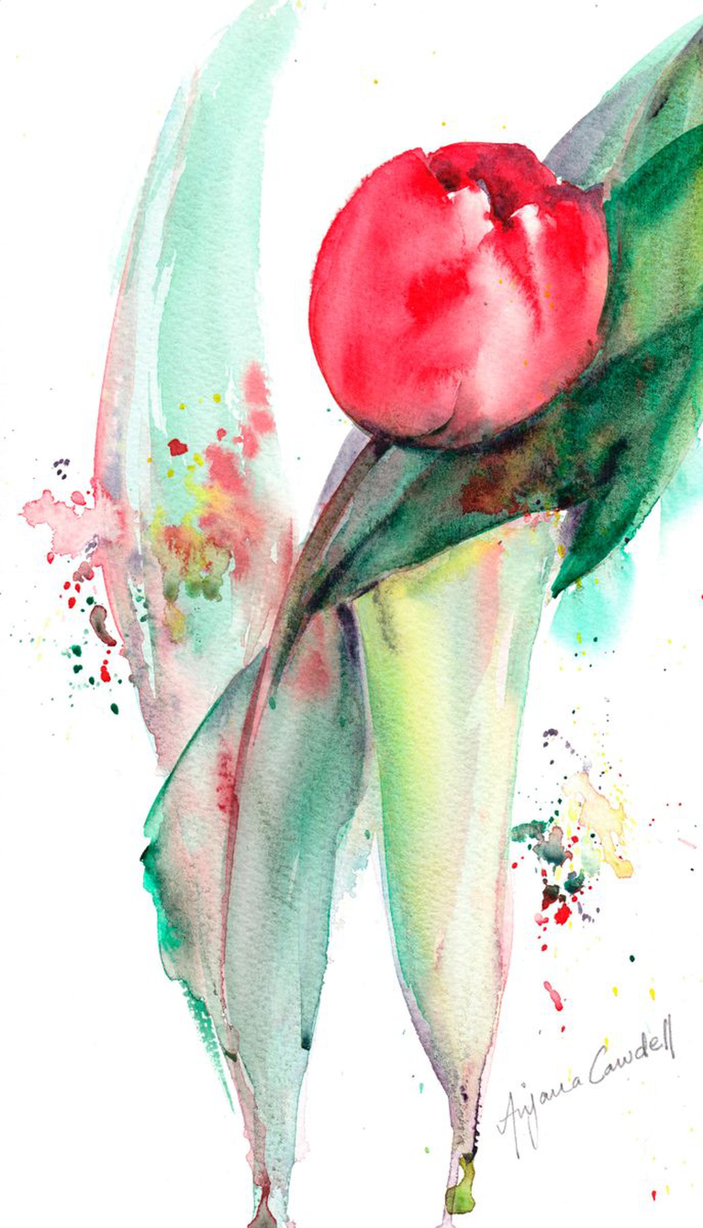 Tulip Painting Tulip Watercolour Red Tulip Si Artfinder