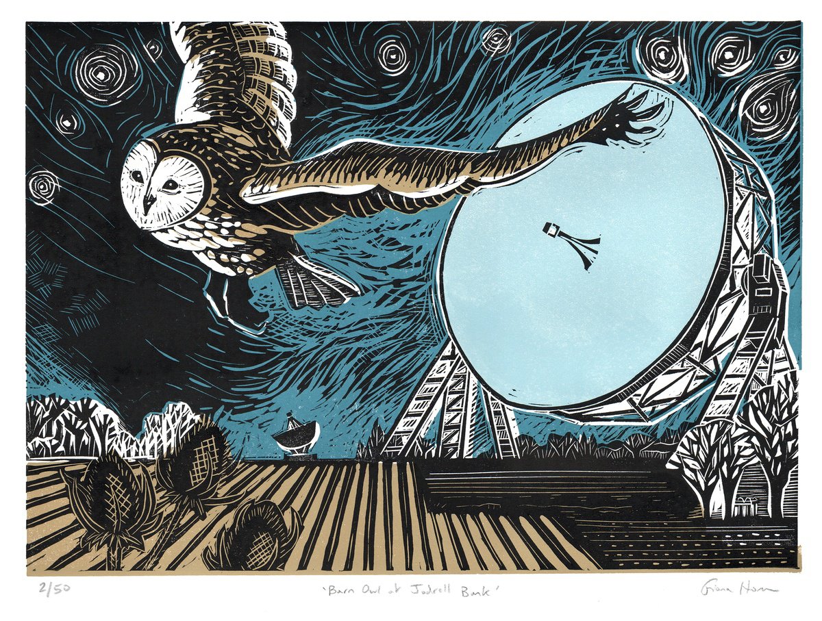 Barn Owl at Jodrell Bank. Limited Edition linocut by Fiona Horan