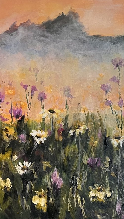 Field of wildflowers by Carolyn Shoemaker (Soma)
