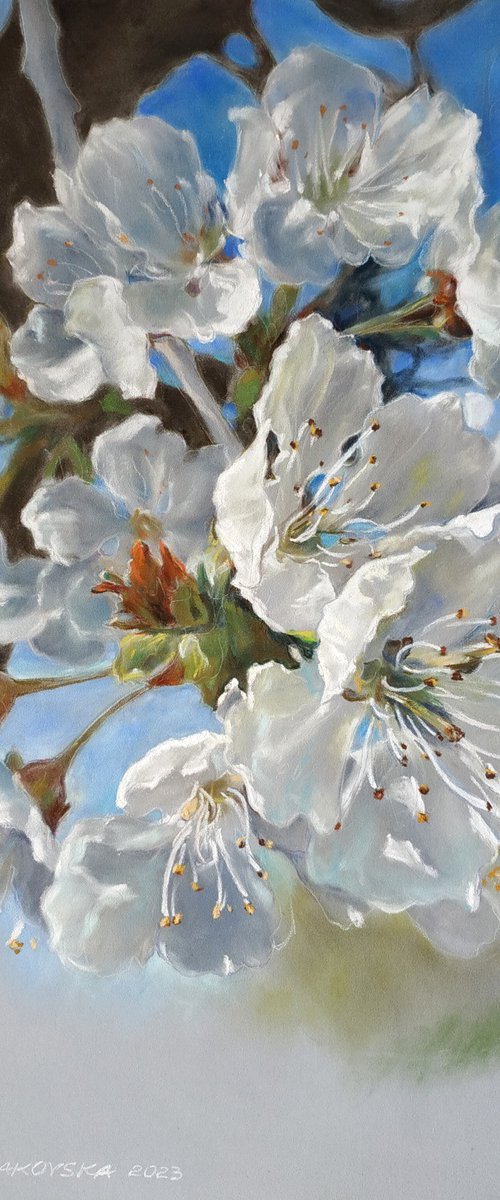 «Profumo di primavera»/«Scent of spring» by Iryna Makovska