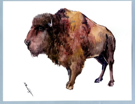 Bison